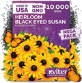 KVITER 10,000 Black Eyed Susan Seeds for Planting (Rudbeckia hirta) – Gloriosa Daisy Wildflower Seed, Heirloom, Non-GMO & Organic – Flower Seeds to Plant Outside & Inside, Borders, Containers