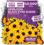 KVITER 10,000 Black Eyed Susan Seeds for Planting (Rudbeckia hirta) – Gloriosa Daisy Wildflower Seed, Heirloom, Non-GMO & Organic – Flower Seeds to Plant Outside & Inside, Borders, Containers