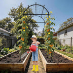 Garden Arch Trellis for Climbing Plants, Adjustable Tunnel Trellis 7.4FT Tall & 2.8 FT Depth, Metal Plant Support Garden Trellis Arch for Outdoor Climbing Vine,Vegetable, Fruit, Flower