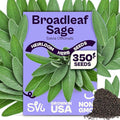 SVI 350 Broadleaf Sage Seeds (Salvia officinalis) - Common Sage, Heirloom Aromatic Herbs - Culinary Herb Seeds for Containers, Home, Kitchen Herb Garden
