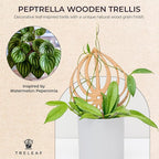 Treleaf Peptrella Watermelon Peperomia Inspired Wooden Trellis – Petite Size 9" Indoor Plant Support for Hoyas and Climbing Plants – Decorative Houseplant Trellis and Wooden Plant Stake