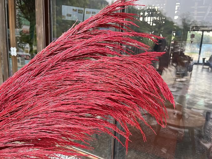 Red Pampas Grass Tall for Floor Vase Decor,Long Dried Pampas Grass, Large Natural Pompas Floral, Elegant Feather Flowers for Wedding Living Room Decorations (Natural Red, 6pcs 43.3"(110cm))