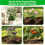 6 Pack Peony Cages and Supports, 12'' x 20'' Metal Removable Grid Flower Support Cage Set, 4-Leg Outdoor Plant Stake for Garden Peonies Tomato Hydrangea Strawberry (Black)