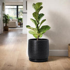 D'vine Dev 8 Inch Ceramic Beaded Stoneware Planter Pot - Flower Pot with Drainage Holes and Saucers for Indoor Succulent Plants or Flowers, Ebony Matte, 27-C-Q-6