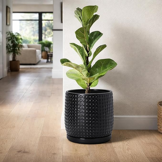 D'vine Dev 8 Inch Ceramic Beaded Stoneware Planter Pot - Flower Pot with Drainage Holes and Saucers for Indoor Succulent Plants or Flowers, Ebony Matte, 27-C-Q-6