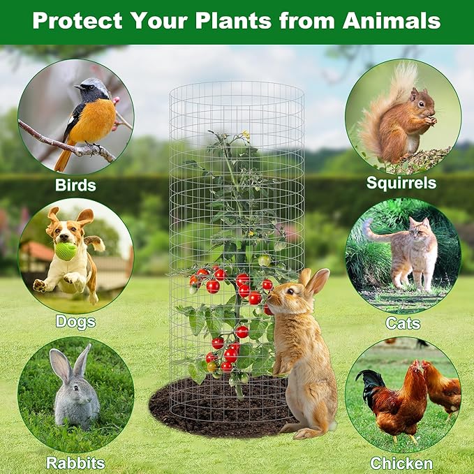 winemana 12 Set Garden Plant Protector Cage,36 Pcs 24x12 IN Metal Wire Protectors for Plants, Protection Cages with Stakes Nylon Ties Animals Barrier to Keep Rabbit Chicken Away from Flower Vegetables