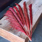 Red Pampas Grass Decor Tall for Floor Vase,Long Dried Pampas Grass, Large Pompas Floral, Elegant Feather Flowers for Wedding Decorations, Living Room Decor (Natural Red, 4pcs 43.3"(110cm))