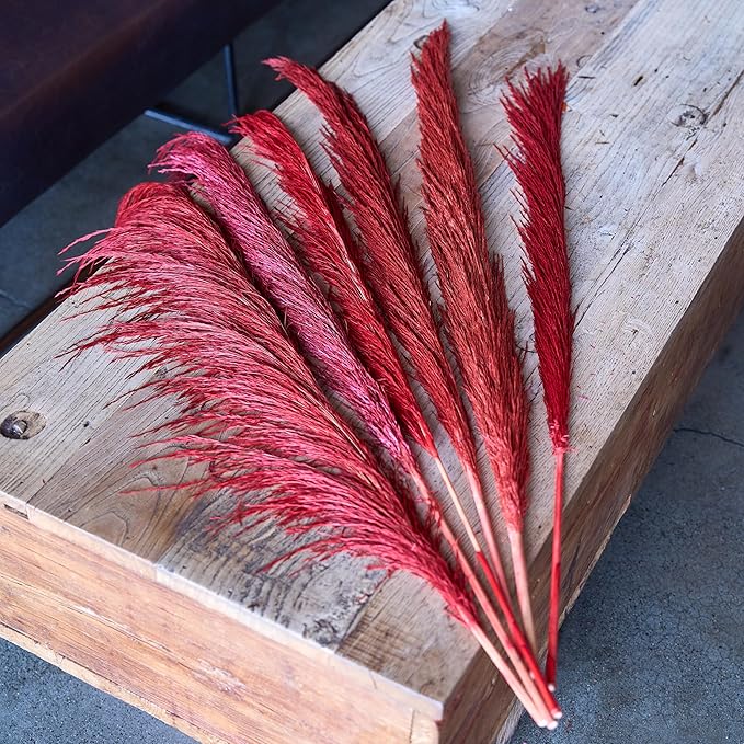 Red Pampas Grass Tall for Floor Vase Decor,Long Dried Pampas Grass, Large Natural Pompas Floral, Elegant Feather Flowers for Wedding Living Room Decorations (Natural Red, 6pcs 43.3"(110cm))