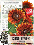 Seed Needs Velvet Queen Sunflower Seeds for Planting Red-Orange Flowers - Heirloom & Open Pollinated Flower Seed to Plant an Outdoor Butterfly Garden (1 Pack)