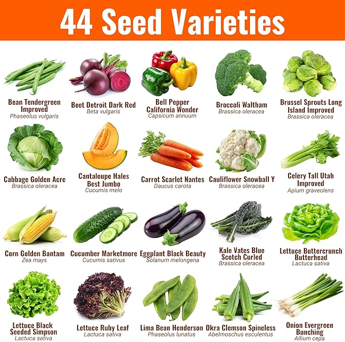 Open Seed Vault | 44 Heirloom Seed Types Variety Pack Bundle | 2026 Season | Non GMO Herbs, Vegetable and Fruit Seeds | Planting Outdoor & Indoor Garden | Gardening Starter Kit High Yield Produce
