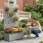 Casaphoria Metal Raised Garden Bed with Trellis, 59"x30"x12" Planter Box for Climbing Plants, Vegetables & Vines, Features Drainage Holes and Privacy Screen, Grey-Star