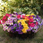 Artificial Flowers for Outdoors Fake Plants Outside Decoration, 12 Bundles Silk Petunia with Eucalyptus UV Resistant Realistic Faux Flowers for Outdoor Planters Garden Balcony (6 Color)