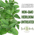 Seed Needs Lemon Balm Seeds for Planting - Non-GMO, Heirloom & Untreated Perennial Medicinal Herb - Plant Indoors/Outdoors Used for Making Calming Tea (2 Packs)