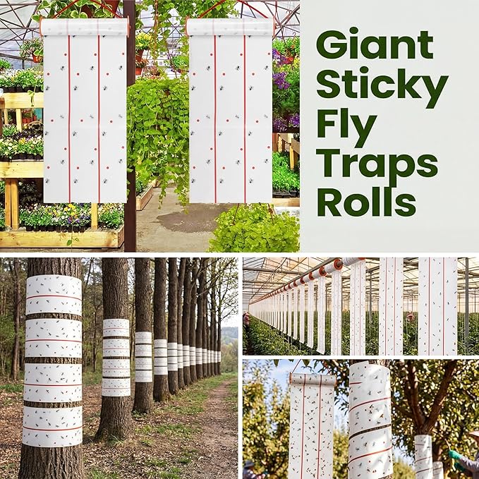 Qualirey Giant Sticky Fly Traps, Fly Strips for Indoor Outdoor Hanging Flying Tapes Non Toxic Ribbon Fruit Gnat Killer for Mosquito Plants House Horse Stable(295.3ft,White,10 Pcs)