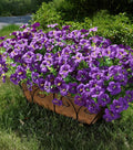 Artificial Flowers for Outdoors Fake Plants Outside Decoration, 20 Bundles Purple Silk Petunia with Eucalyptus UV Resistant Realistic Faux Flowers for Outdoor Planters Garden Balcony Yard Porch Patio