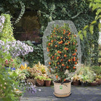 Alpurple 3 PCS Insect Bird Barrier Netting Mesh with Drawstring- 3.2 x 2.6 Feet Fruit Tree Net-Garden Netting Plant Cover for Protect Plant Fruits Flower from Insect Bird Eating