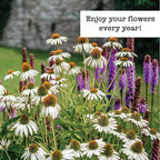 SUPERthrive Original Plant Vitamin Solution with Kelp for All Plants, 4 oz. Plus Perennials to Plant in Fall Seeds