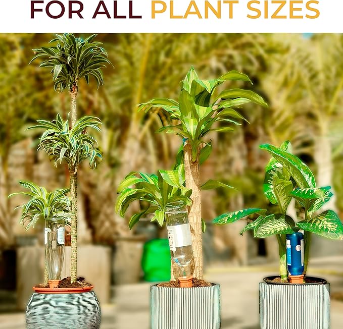 Reifier 6-Pack Natural Self Watering Spikes - Terracotta - Automatic Plant Waterer for Indoor & Outdoor