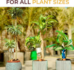 Reifier 6-Pack Natural Self Watering Spikes - Terracotta - Automatic Plant Waterer for Indoor & Outdoor
