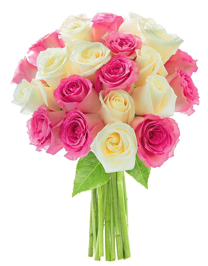 KaBloom - Bouquet of Long Stemmed Pink and White Roses (Two Dozen)- Fresh Flowers for Birthday, Valentine's & Mother's Day