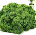 Artificial Moss for Potted Plants Indoor, 7OZ Fake Green Moss, Faux Craft Moss for Terrariums, Fairy Gardens, DIY Crafts, Table Centerpieces, Wedding & Home Decor (Natural Green)