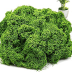 Artificial Moss for Potted Plants Indoor, 7OZ Fake Green Moss, Faux Craft Moss for Terrariums, Fairy Gardens, DIY Crafts, Table Centerpieces, Wedding & Home Decor (Natural Green)