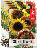 Seed Needs Sunflower Seeds to Plant Autumn Beauty Sunflowers (Mixture) - Heirloom & Open Pollinated Flower Seed to Plant an Outdoor Wildflower Butterfly Garden - Makes a Great Cut Flower (5 Packs)