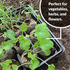 Jiffy Plant Germination Tray Kit - High Germination Rate, Bonus SUPERthrive - 72 Cell, 4 Pack - Plastic