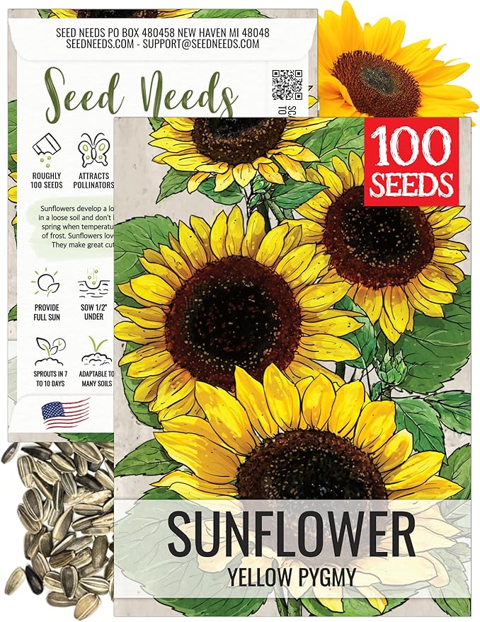 Seed Needs Dwarf Sunflower Seeds for Planting Yellow Pygmy Sunflowers - Heirloom & Open Pollinated Annual Cut Flowers - Perfect for Butterfly Gardens (1 Pack)