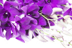 KaBloom PRIME ORVERNIGHT DELIVERY - Fall Collection - The Ultimate Purple Orchid Bouquet of 20 Purple Orchids .Gift for Birthday, Anniversary, Thank You, Valentine, Mother’s Day Fresh Flowers