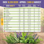 35 Medicinal & Tea Herb Seeds Variety Pack for Indoor & Outdoors. 16,335+ Non-GMO Heirloom Garden Seeds: Anise, Bergamot, Borage, Cilantro, Chamomile, Dandelion, Rosemary Seeds & More