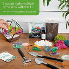 Creations by Nathalie – DIY Large Terrarium Starter Kit with Soil, Moss, Pebbles, Healing Crystal, Tools & Supplies – Terrarium Kit for Adults & Kids, Handcrafted in USA