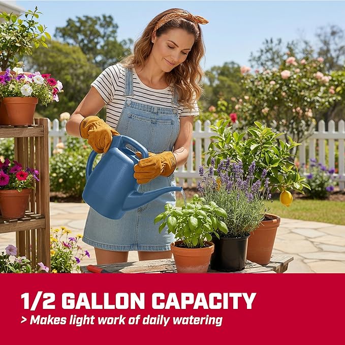 Chapin 48006 Watering Can, Garden, Indoor and Outdoor Plants, Recycled Plastic, Made in USA, 0.5 Gallon, Blue