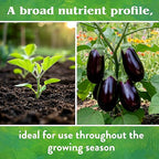 Down To Earth All Natural Fertilizers Organic Vegetable Garden - Plant Food for Vegetables, Herbs, Greens and Raised Beds 4-4-4, 1 lb