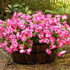 Artificial Flowers for Outdoor, UV Resistant Fake Silk Pansies Flowers, Realistic Faux Plants for Outside Indoor Porch Patio Window Box Planter Home Decor (16, Pink)