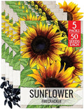 Seed Needs Firecracker Sunflower Seeds for Planting Sunflowers - Hybrid Flower Seed to Plant an Outdoor Home Grown Butterfly Garden (5 Packs)