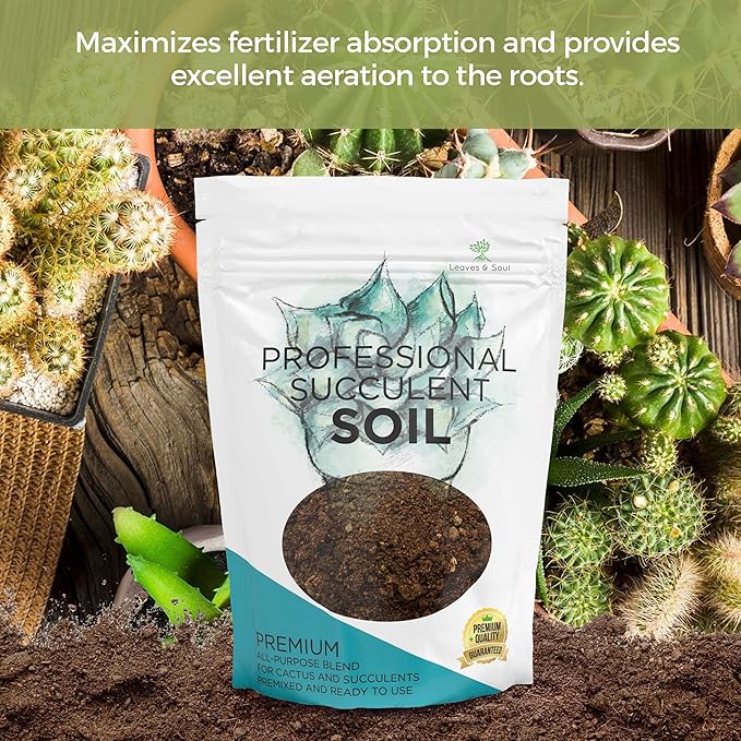 Professional Succulent Soil Mix Large 2.2 Quarts Ready to Use, Premium Potting Soil for Succulents and Cactus, Fast Draining Blend Canadian Peat Coarse Sand Pinebark Indoor Made in USA
