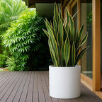 D'vine Dev 16 Inch White Plastic Planter Pots for Plant Pot with Drainage Hole and Seamless Saucers, 74-X-A-5