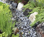FANTIAN 10 Pounds Black River Rocks, 2-3 Inch Black Stones Pebbles for Plants, Landscaping, Garden, Aquarium, Backyard and Indoor Water Fountains