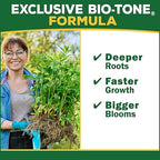 Espoma Organic Holly-Tone 4-3-4 Natural & Organic Evergreen & Azalea Plant Food; 4 lb. Bag; The Original & Best Fertilizer for All Acid Loving Plants Including Rhododendrons & Hydrangeas