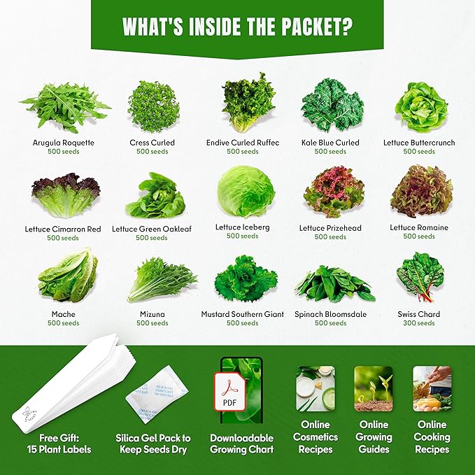 20 Vegetable + 15 Lettuce & Salad Greens + 18 Culinary Herb Seeds Variety Pack Bundle 15300+ Non-GMO Heirloom Garden Seeds for Planting