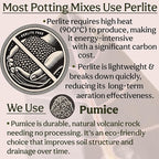 Craft Organic Houseplant Potting Mix, Elite House Plant Soil, Chunky, Well Draining Potting Soil for All Indoor Plants, Tropical Plants & Flowers, Sustainable & Peat Free, Less Prone to Gnats, 12QT