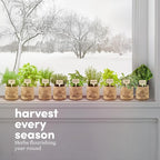 Planters' Choice 9 Herb Indoor Window Garden Kit - House Plants Seeds - Best Unique Easter Gift Ideas for Women, Mom, Friend, Her, Birthday, Housewarming, Mother - New Home Kitchen Gifts