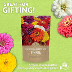 Bulk Zinnia Seeds - California Giants Mix - 1 Pound Bag Over 48,000 Flower Seeds - Mixed Colors and Large Blooms