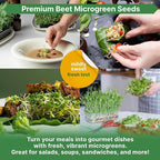 Organo Republic Beet Sprouting & Microgreens Seeds - 20,000 Non GMO Heirloom Seeds, Sprouts in Bulk 1lb Resealable Bag for Planting and Growing in Soil, Coconut Coir, Aeroponic & Hydroponic System