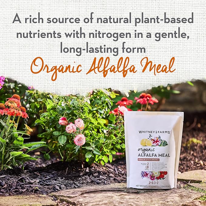 Whitney Farms Organic Alfalfa Meal 2-0.3.2 - Slow-Release Nitrogen Fertilizer and Soil Enhancer for Vegetables, Flowers, Roses, Herbs, and Shrubs, 2 lb.