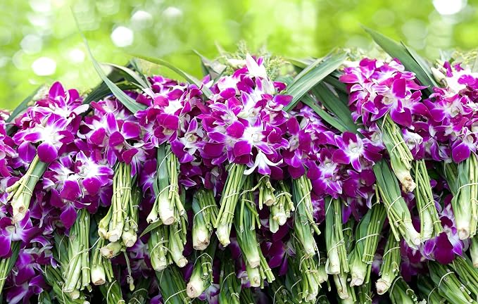 KaBloom - The Ulitmate Purple Orchid Bouquet with Vase - Fresh Flowers for Birthday, Valentine's & Mother's Day