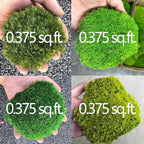 Only Moss No Bowl 4 Color Mix Pack Preserved Pole Moss Pillow Bun Cushion Natural Decorative Green DIY Kit Art Wall Florist Easter Decor (1.5 sq.ft, Green-A,B,C,D)