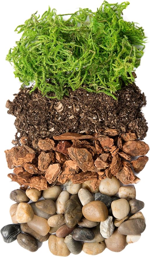 Portland Terrarium kit - DIY Mason Jar Terrarium Kit