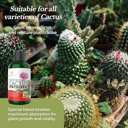 Professional Cactus Fertilizer Liquid 3-1-2 Concentrate 8 oz, Premium Liquid Plant Food for Indoor and Outdoor, Liquid Cactus Fertilizer Made in USA